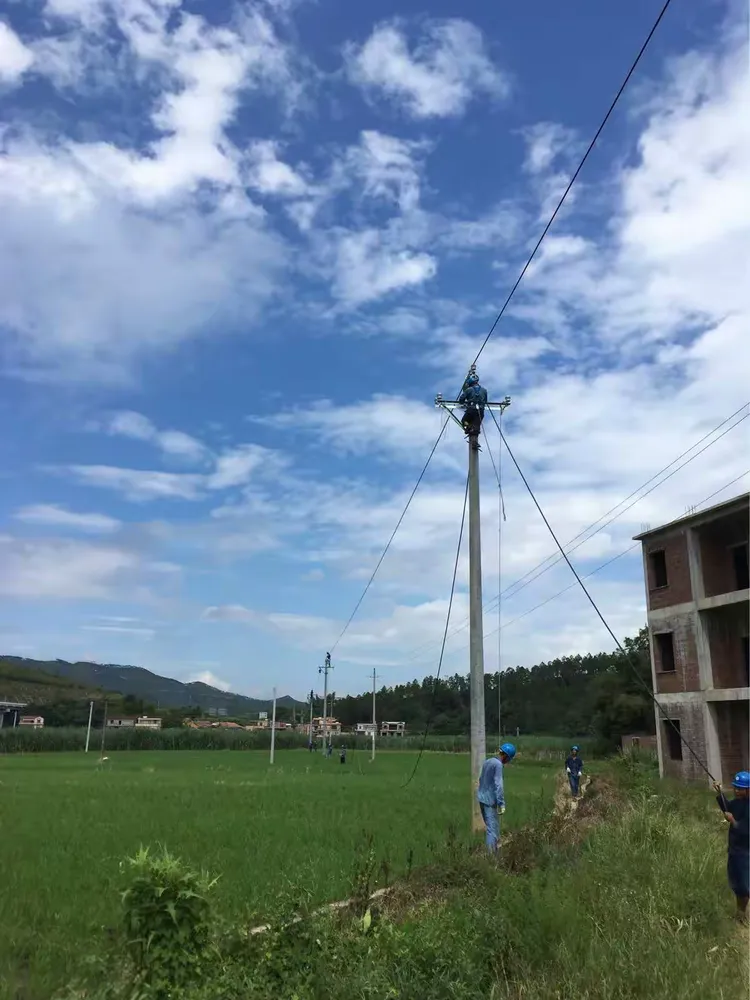 Rural 10kV Overhead Distribution Upgrade field record 1