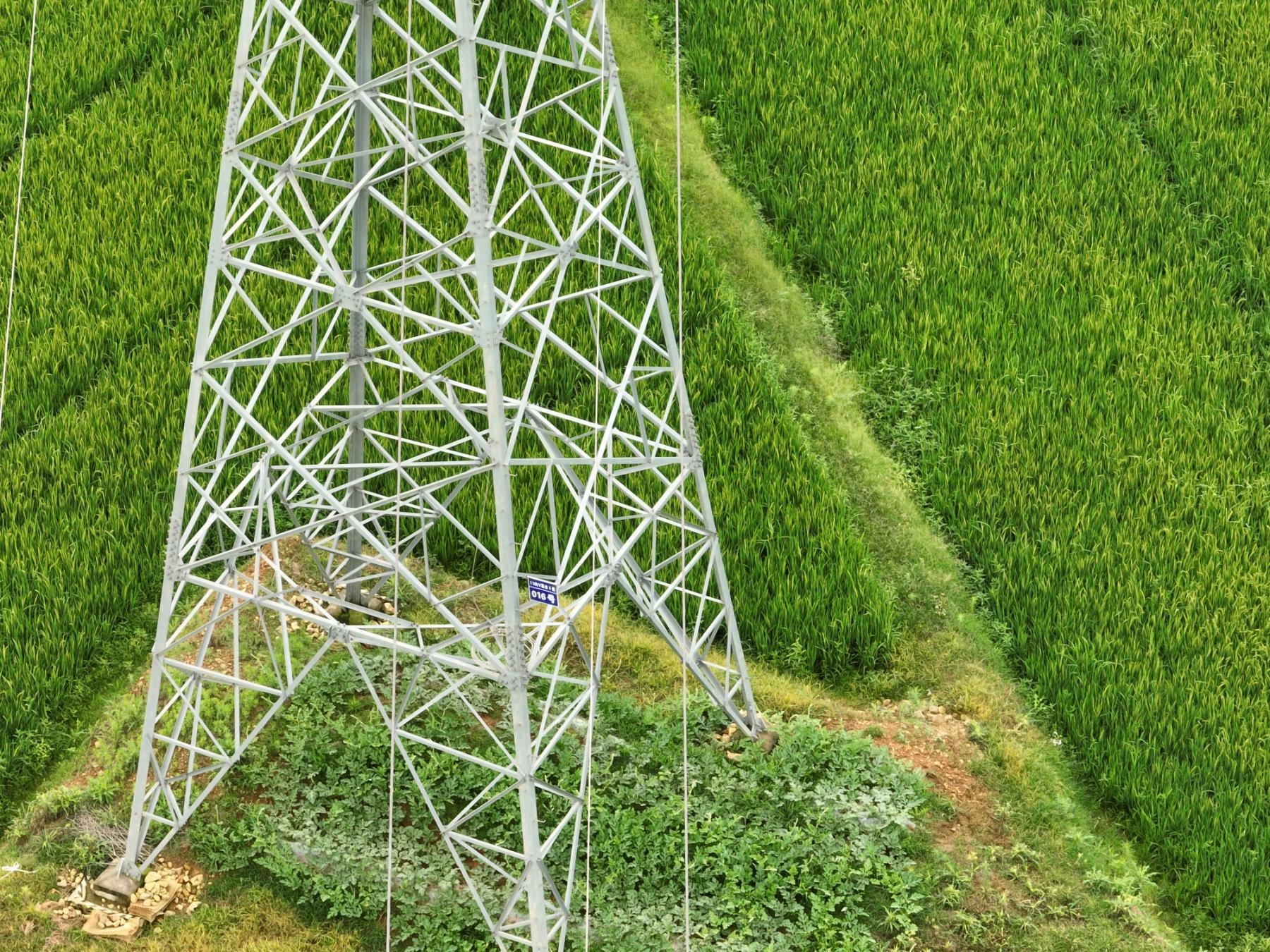 Ji'an Tianyu 220kV Transmission & Transformation Project – 110kV Outgoing Works field record 3