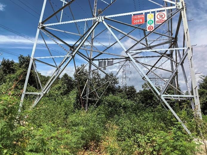 Nanchang Panlongshan–Lehua Loop-in Jinyuan 110kV Line Project field record 3