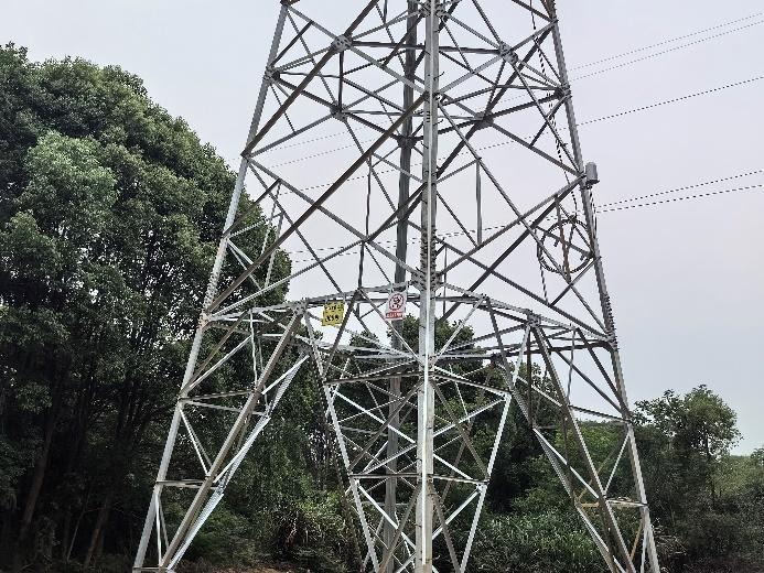 Nanchang Panlongshan–Lehua Loop-in Jinyuan 110kV Line Project field record 4